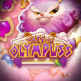 logo Cats of Olympuss