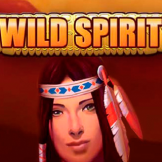 logo Wild Spirit