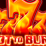 logo Hot to Burn