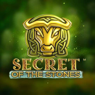 logo Secret of the Stones
