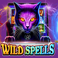 logo Wild Spells