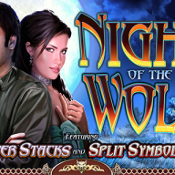 logo Night of the Wolf