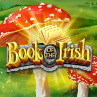 logo Book Of The Irish