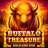 logo Buffalo Treasure Hold and Win