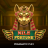 logo Nile Fortune