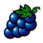 Grape img
