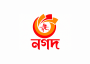 logo Nagad