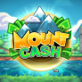 logo Mount Cash