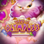 logo Cats of Olympuss