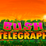 logo Bush Telegraph
