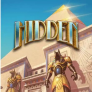 logo Hidden