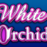 logo White Orchid