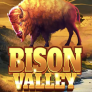 logo Bison Valley
