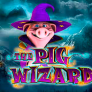 logo The Pig Wizard