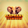 logo Elephant Stampede