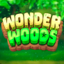 logo Wonder Woods