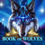 logo Book Of Wolves