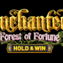 logo Enchanted: Forest of Fortune