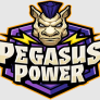 logo Pegasus Power