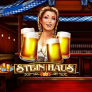 logo Stein Haus