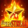 logo Wild Streak