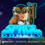 logo Space Donkey