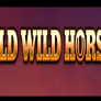 logo Wild Wild Horses