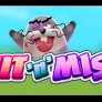 logo Hit N Miss