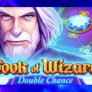 logo Book of Wizard Double Chance