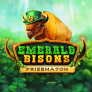 logo Emerald Bisons PrizeMatch