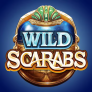 logo Wild Scarabs