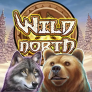 logo Wild North