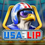 logo USA Flip