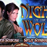 logo Night of the Wolf