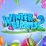 logo Winterberries 2