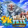 logo 9K Wild Yeti Dream Drop