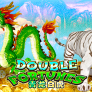 logo Double Fortune