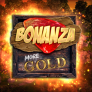 logo Bonanza More Gold
