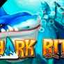 logo Shark Bite