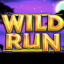logo Wild Run