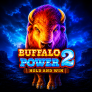 logo Buffalo Power 2 Hold and Win