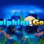 logo Dolphins Gold