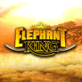 logo Elephant King