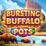 logo Bursting Buffalo Pots