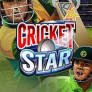logo Cricket Star
