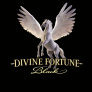 logo Divine Fortune Black