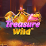 logo Treasure Wild