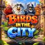 logo Birds in The City