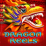 logo Dragon Reels